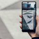 Image for article titled Google AR Brings Arctic Animals Into Your Living Room